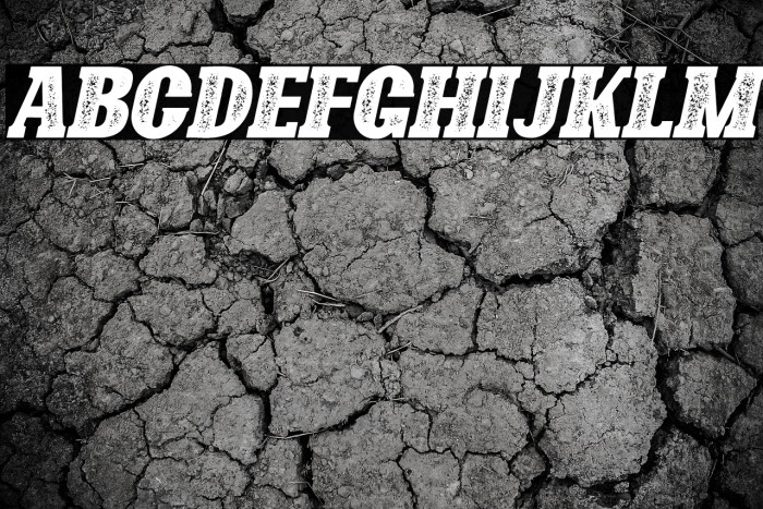 Bonaro Stamp Italic Demo Stamp Italic Example 2