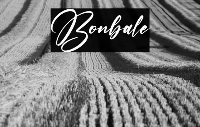 Bonbale Example 2
