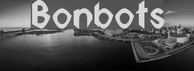 Bonbots Example 1