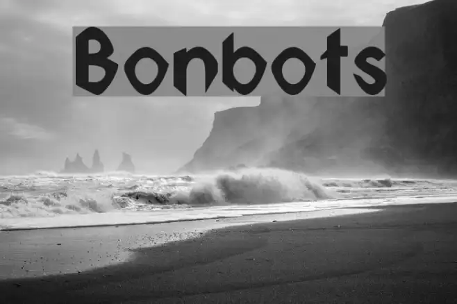 Bonbots Example 2