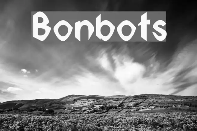 Bonbots Example 3