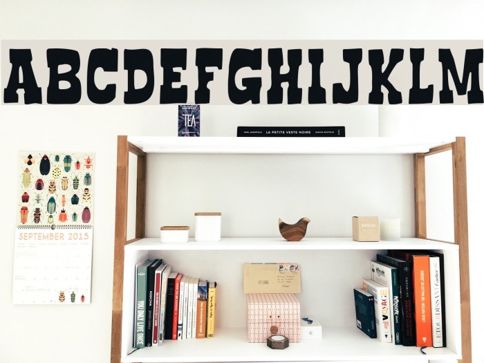 BoncegroFF4F Fonte examples