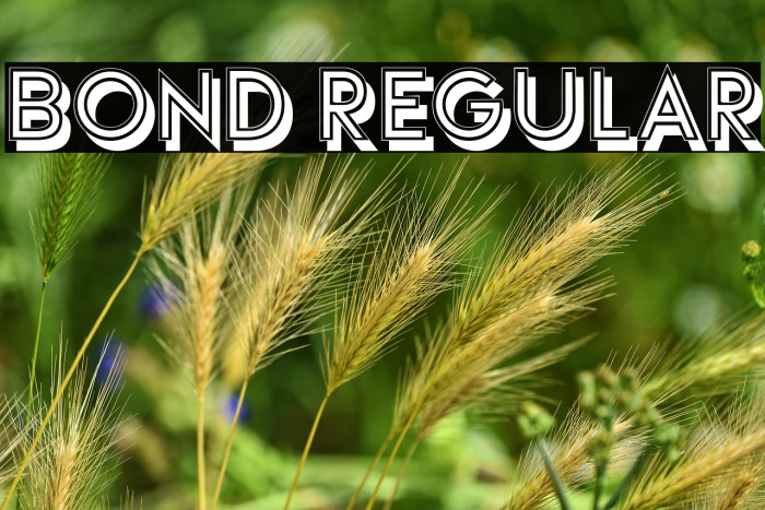 Bond Regular Example 1