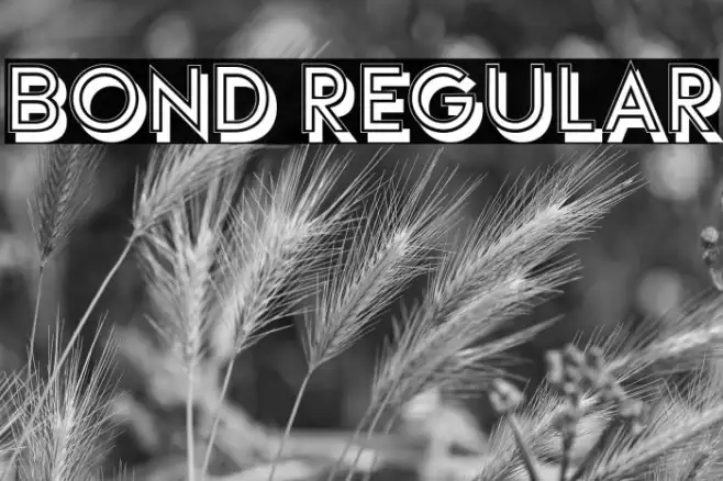 Bond Regular Example 1