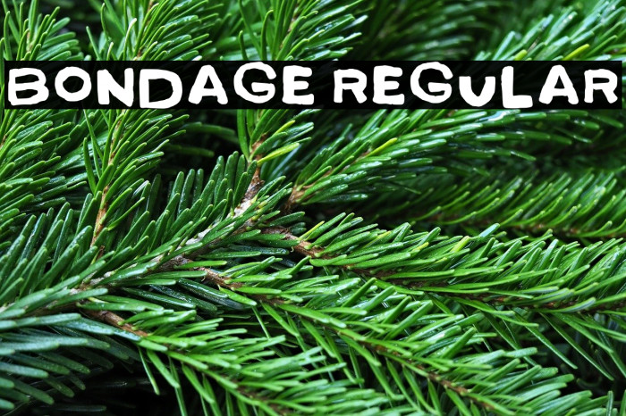 Bondage Regular Example 3