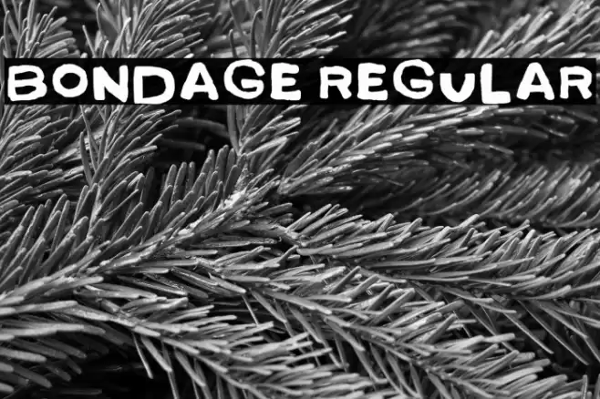 Bondage Regular Caratteri examples