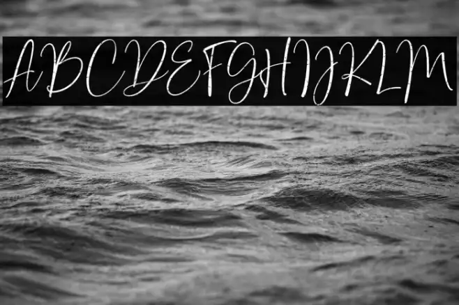 Bondi Sans DEMO Rough Example 3