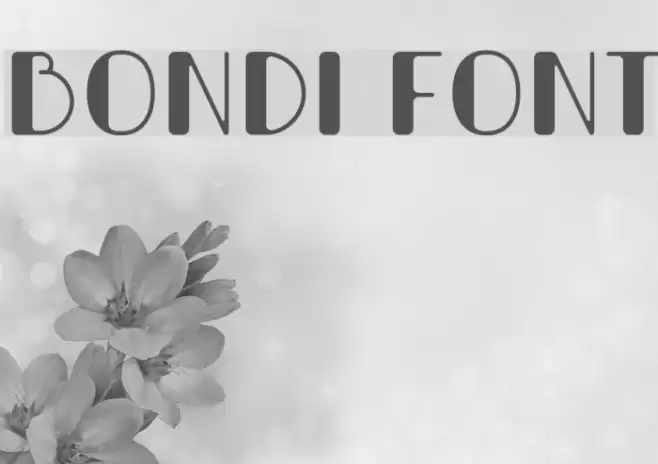 Bondi Caratteri examples