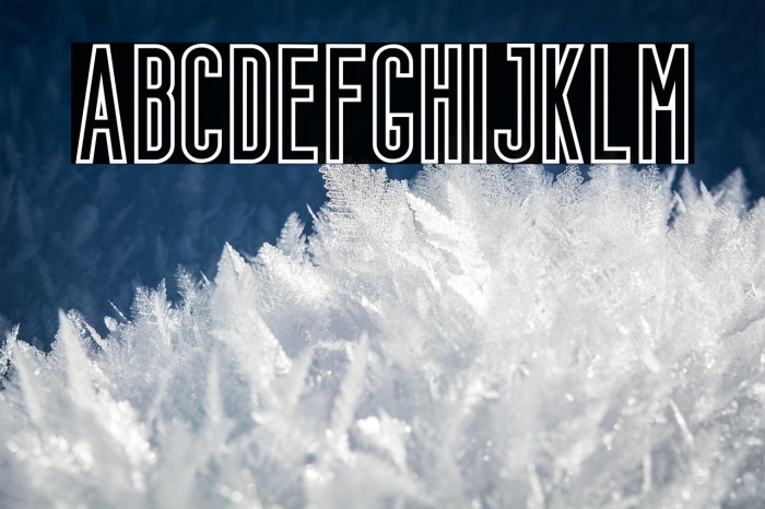 Bondie-Outline Example 2