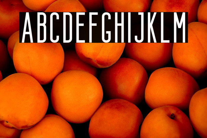 Bondie-Regular Example 3