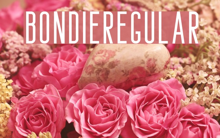 Bondie-Regular Font examples