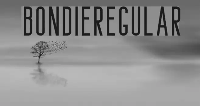 Bondie-Regular Font examples