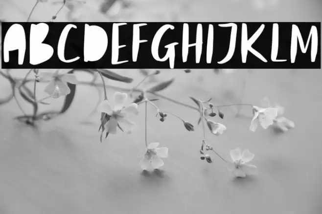 Bondie Font examples