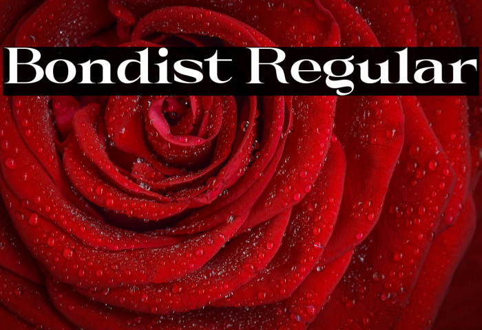 Bondist Regular Example 2