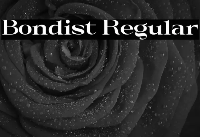 Bondist Regular Font examples