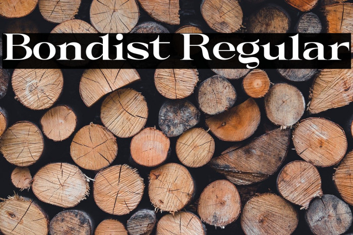 Bondist Regular Example 3