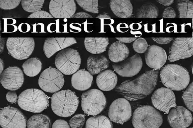 Bondist Regular Font examples