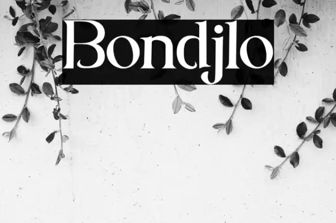 Bondjlo Example 1