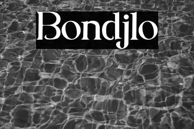 Bondjlo Example 3
