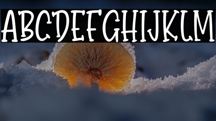 BondyQuirky-Regular Example 1