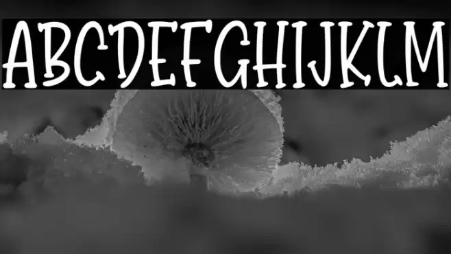 BondyQuirky-Regular Font examples