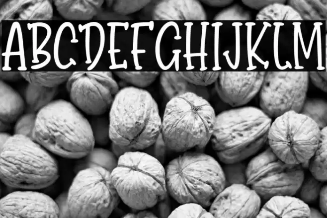 BondyQuirky-Regular Font examples