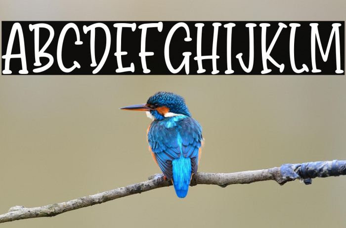 BondyQuirky-Regular Example 3