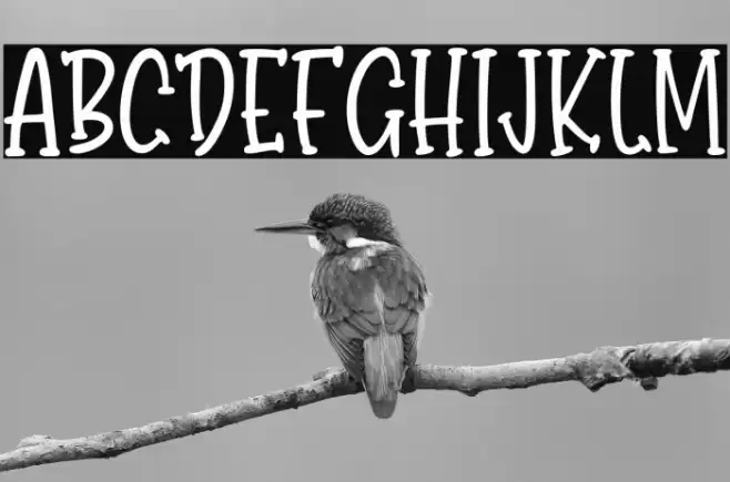 BondyQuirky-Regular Font examples