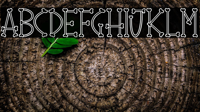 Bone Sticks_PersonalUseOnly Example 1