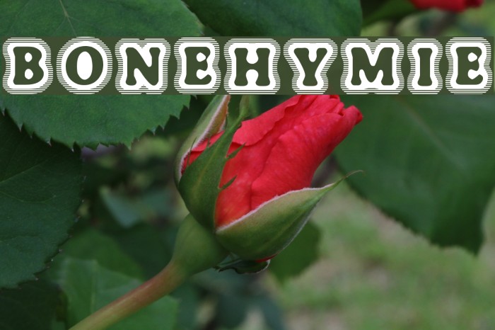 BoneHymie Font examples