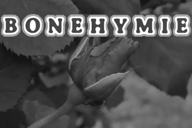 BoneHymie Example 1