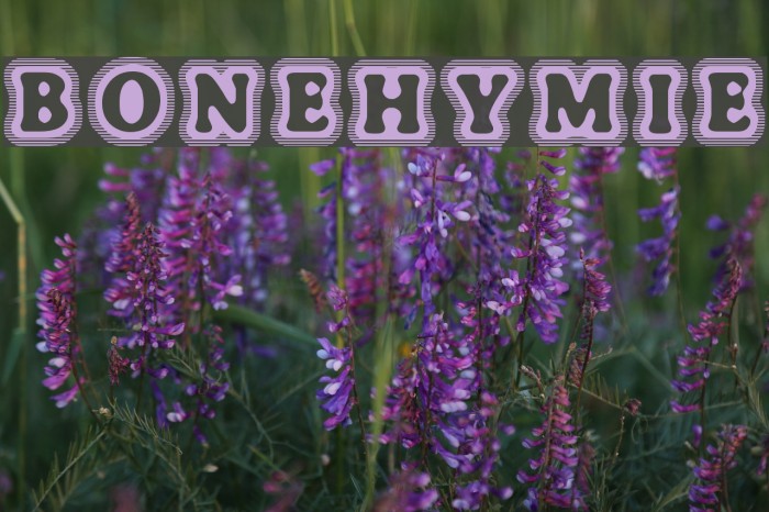 BoneHymie Font examples
