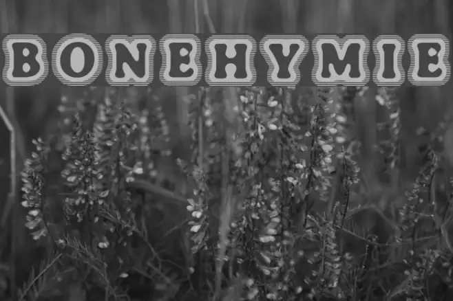 BoneHymie Example 2