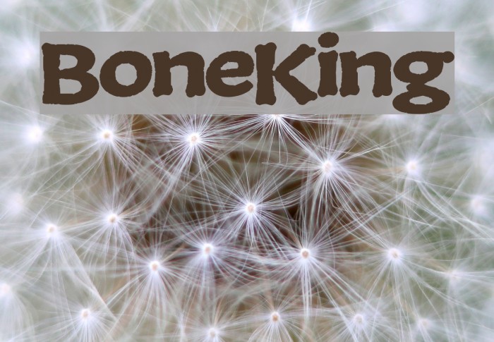 BoneKing Font examples