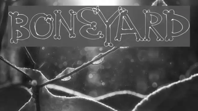 BoneYard Example 1