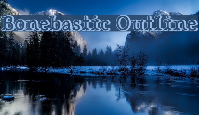 Bonebastic Outline Example 2