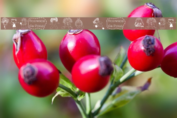 BonecaS de Pano Font examples