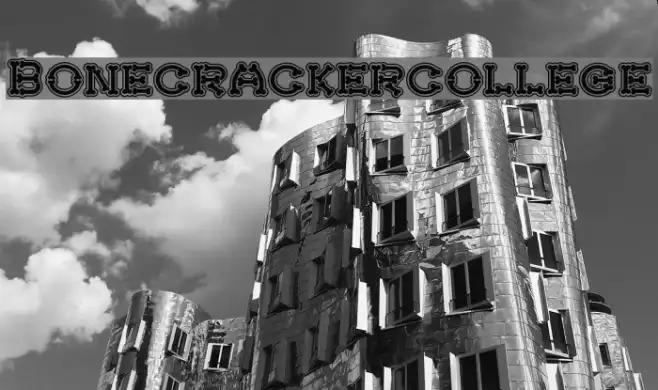 Bonecrackercollege Example 3