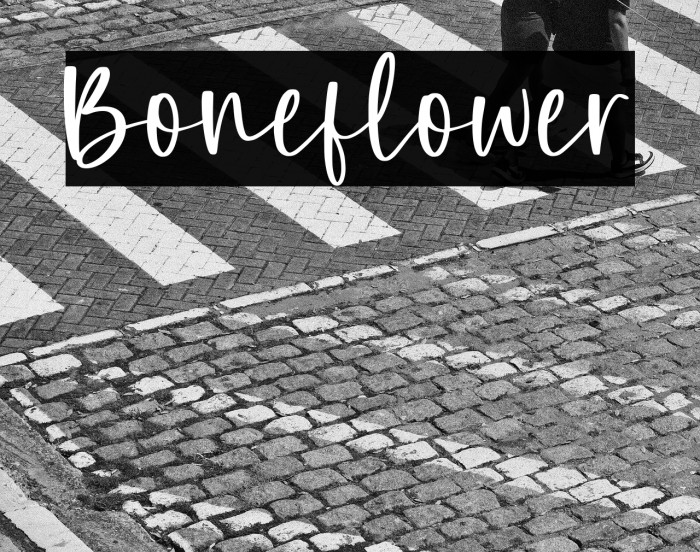 Boneflower Example 1