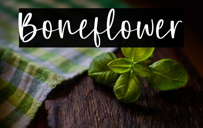 Boneflower Example 2