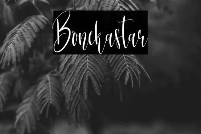 Bonekastar خط examples