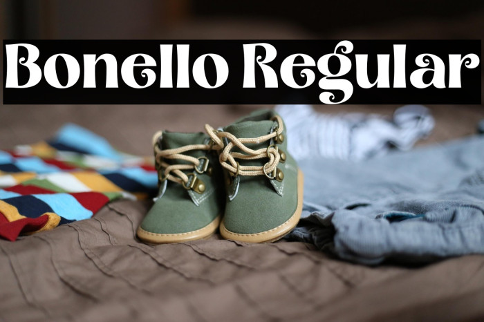 Bonello Regular Example 1