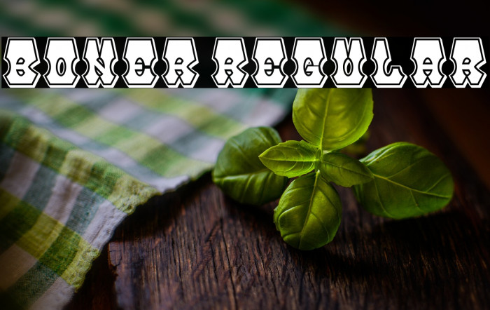 Boner Regular Example 2