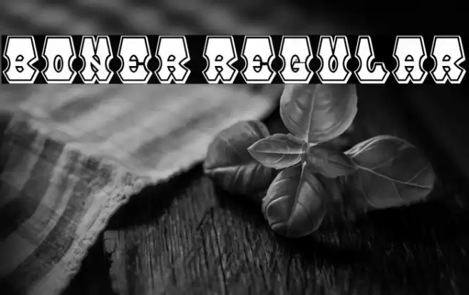 Boner Regular Font examples