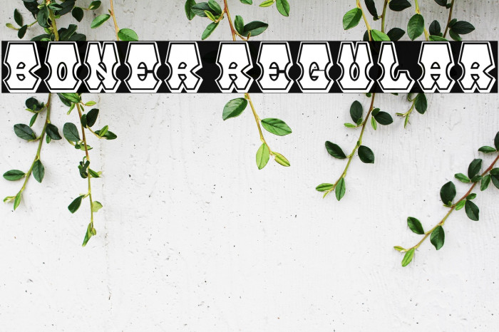 Boner Regular Example 3