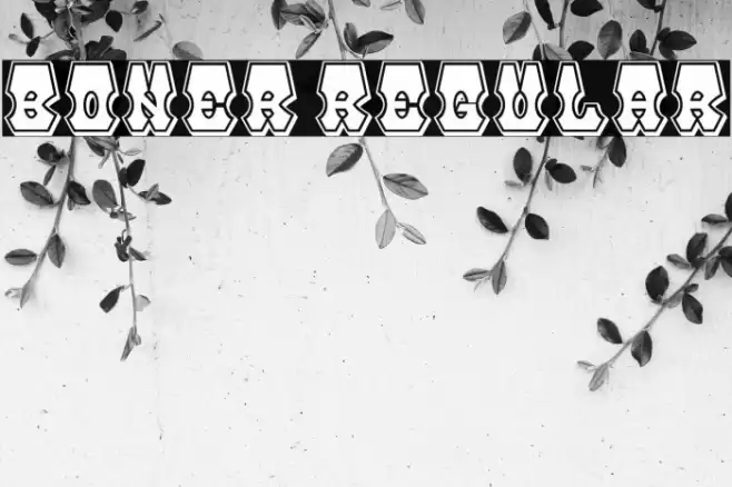 Boner Regular Font examples
