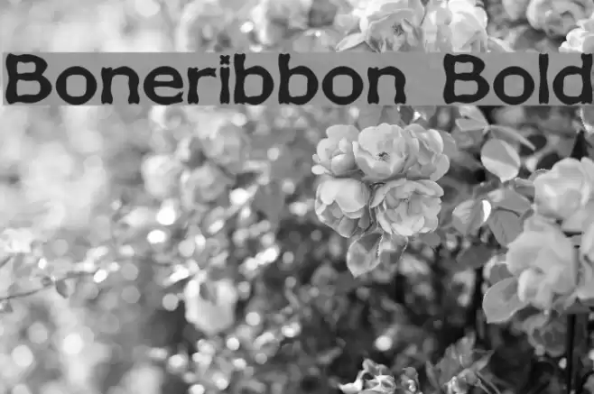 Boneribbon Bold Font examples