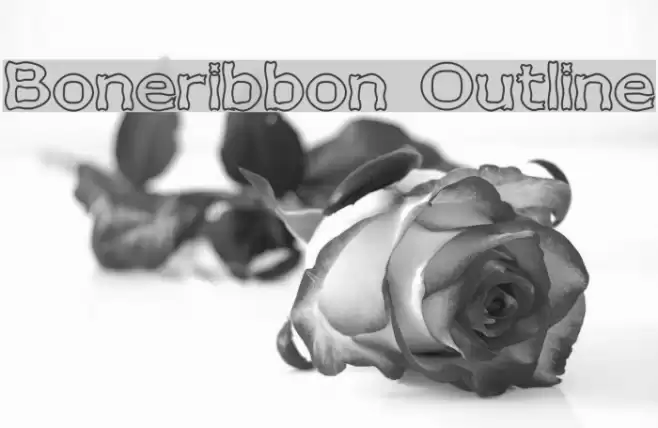 Boneribbon Outline Fonte examples