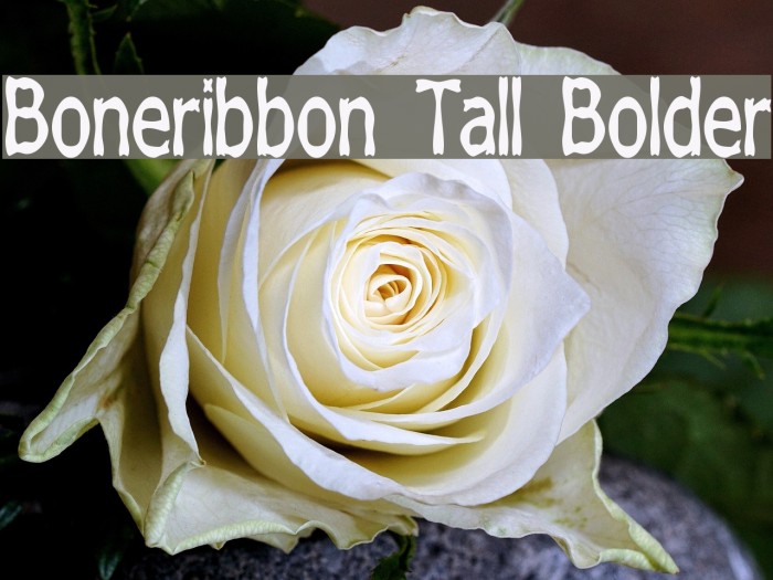 Boneribbon Tall Bolder Font examples