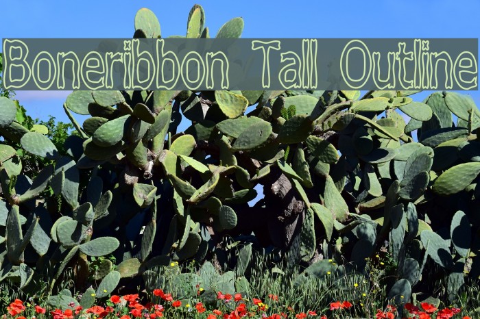 Boneribbon Tall Outline Font examples